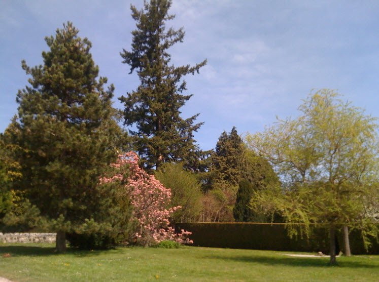 La Plantelière, Arpajon-sur-Cère, France, France